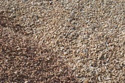 Washed River Rock - Small